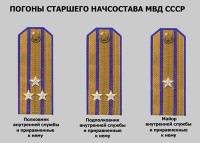 /album/fotogalerie-russian/a3-jpg1/